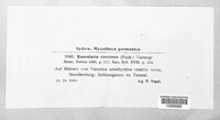 Image Associated With the Occurence